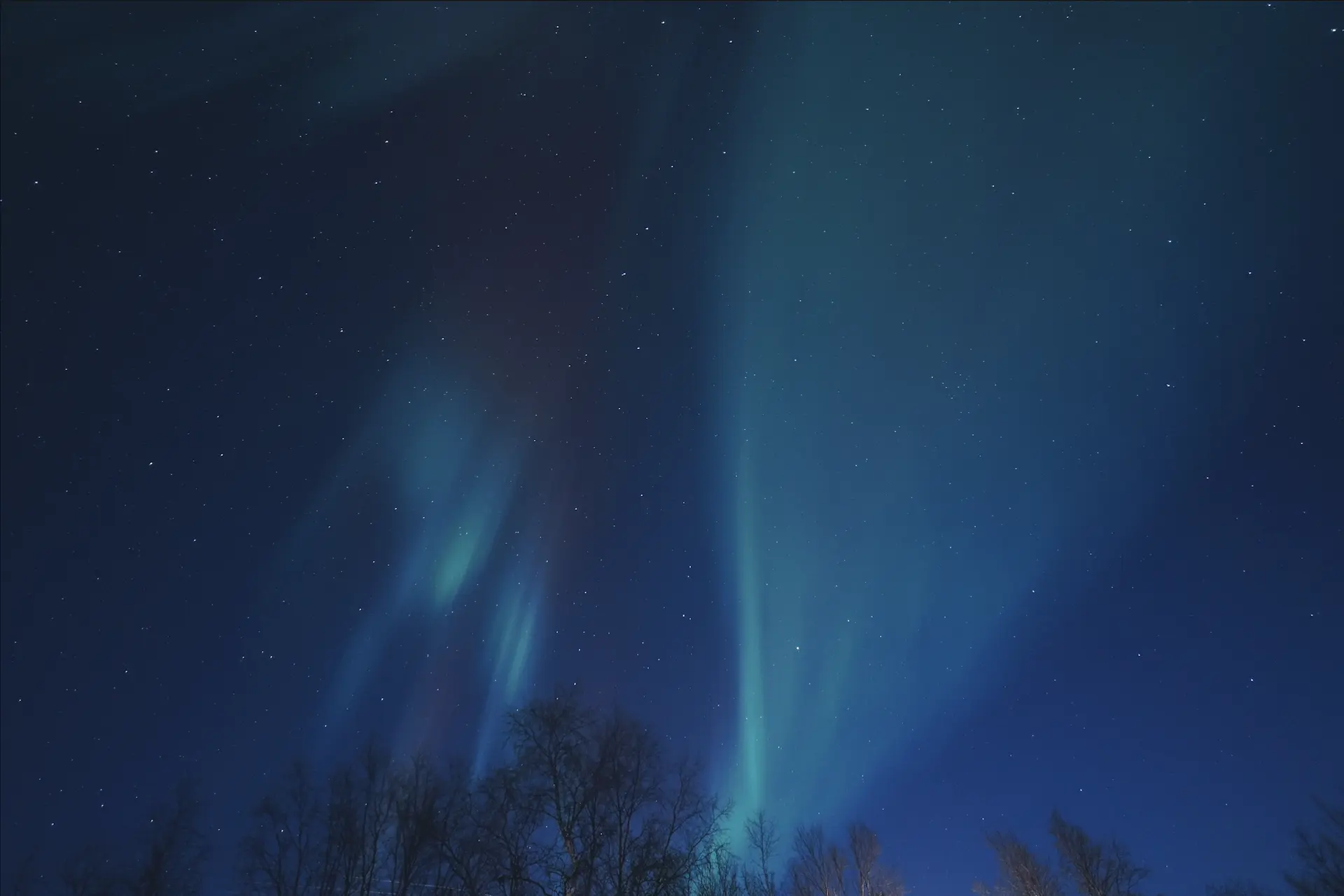 Northern Lights Chase – Tromsø Friluftsenter